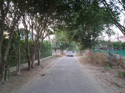 Image of 9072 Sq.ft Residential Plot / Land for sale in Dkrrish Alaska Farms, Nagli Bahrampur, Noida for Rs. 9100000