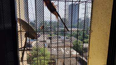 Balcony Image of 520 Sq.ft 1 BHK Apartment / Flat for sale in matoshree park CooperativeSociety, Bhandup East Mumbai for Rs. 8500000