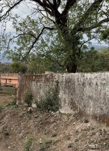 Image of 4806 Sq.ft Residential Plot / Land for sale in Kulhan, Dehradun for Rs. 31500000