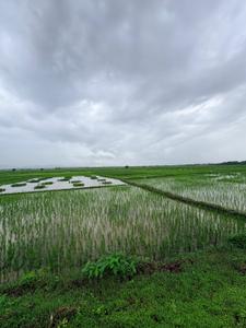 Image of 1089 Sq.ft Residential Plot / Land for sale in Uran, Navi Mumbai for Rs. 500000
