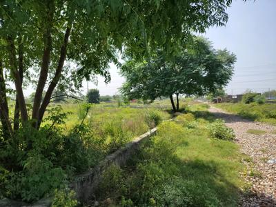 Image of 900 Sq.ft Residential Plot / Land for sale in Bhanauta, Greater Noida for Rs. 3499200