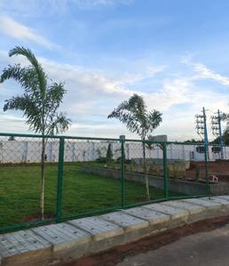 Residential Plot