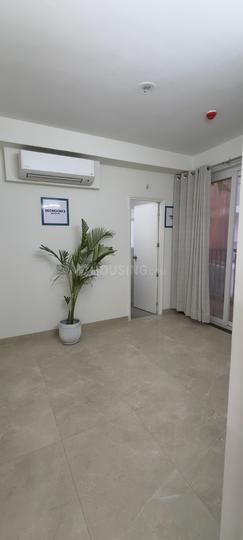 Sare Altura Main Image 1