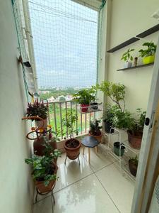 Balcony Image of 1050 Sq.ft 2 BHK Apartment / Flat for sale in Bill Vadodara for Rs. 2900000