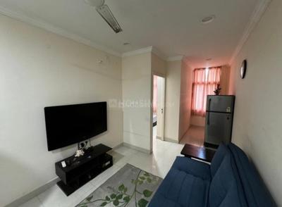 Hall Image of 750 Sq.ft 1 BHK Apartment / Flat for rent in Whitefield Bengaluru for Rs. 25000