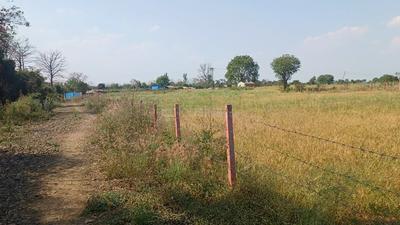 Agricultural Land