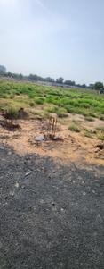 Image of 553 Sq.ft Residential Plot / Land for sale in Koba, Gandhinagar for Rs. 37051000