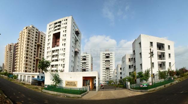 Bengal Malancha Main Image 1