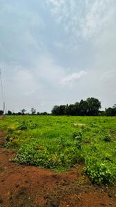 Image of 6000 Sq.ft Residential Plot / Land for sale in Paridhi Nidhivan Farm, Tatibandh, Raipur for Rs. 2850000