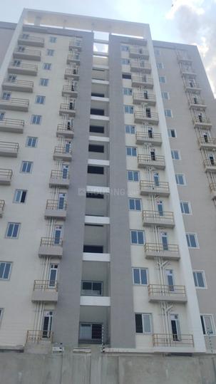 Indigo Ortus Main Image 1