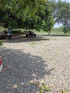 Image of 100 Sq.ft Residential Plot / Land for sale in Ganeshpur, Dehradun for Rs. 890000