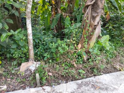 Image of 1082 Sq.ft Residential Plot / Land for sale in Uluberia, Howrah for Rs. 700000