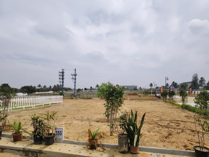 Ruby Sizzle Heritage Main Image 1