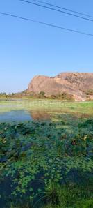 Image of 5989 Sq.ft Residential Plot / Land for sale in Ramanagara, Bengaluru for Rs. 7181431