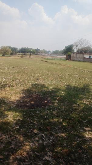 Daladali Main Image 1