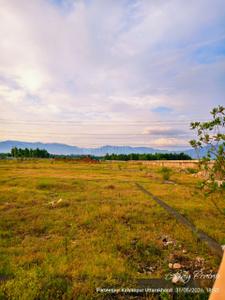 Image of 1350 Sq.ft Residential Plot / Land for sale in Bajrang Vatika, Mednipur Badripur, Dehradun for Rs. 1850000