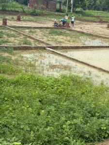 Image of 1050 Sq.ft Residential Plot / Land for sale in Harhua, Varanasi for Rs. 2545000