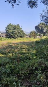 Image of 2900 Sq.ft Residential Plot / Land for sale in Pondha, Dehradun for Rs. 78000000