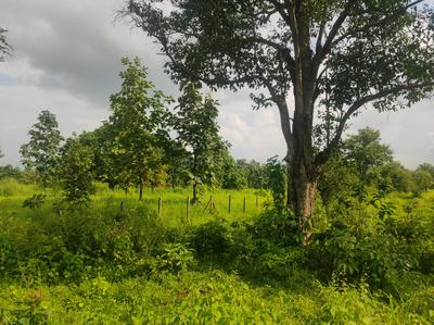 Image of 21780 Sq.ft Residential Plot / Land for sale in Murbad, Thane for Rs. 2600000