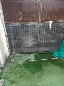 Image of 1950 Sq.ft 3 BHK Builder Floor for rent in Model Town, New Delhi for Rs. 100000