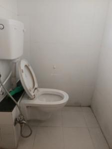 Common Bathroom Image of 1000 Sq.ft 2 BHK Apartment / Flat for rent in Magarpatta Trillium by Magarpatta City, Magarpatta City Pune for Rs. 35000