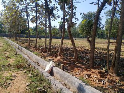 Pendurthi More Images 2
