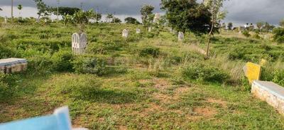 Residential Plot