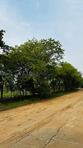 Image of 1800 Sq.ft Residential Plot / Land for sale in Swastik Kalpvriksh, Old Dhamtari Road, Raipur for Rs. 2862000