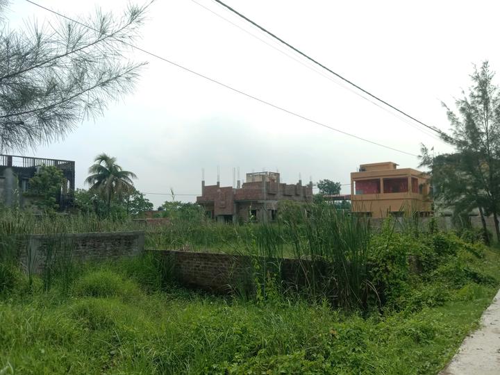 Apparent JB Garden Main Image 1