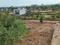 Chitrakoot Nagar Plot View 2