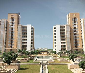 Image of 1250 Sq.ft 2.5 BHK Apartment / Flat for rent in Puri Pratham, Sector 84, Faridabad for Rs. 35000