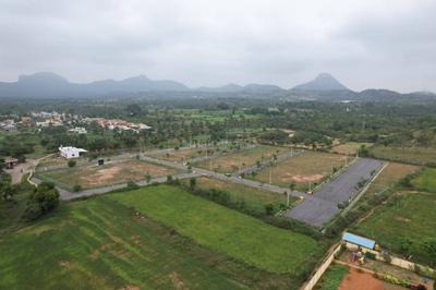 Sathnur Village Plot View 2