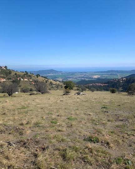 Assagao Main Image 1