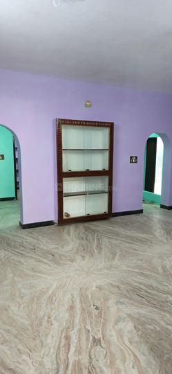 Orleanpet Main Image 1