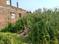 Nazirabad Plot View 2