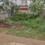 Chandan vihar sector 111 Main Image 1
