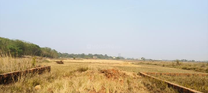 Part of plot Main Image 1