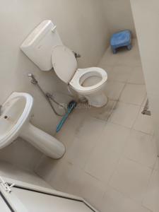 Bathroom Image of 1800 Sq.ft 2 BHK Builder Floor for rent in Sector 8 Panchkula for Rs. 20000