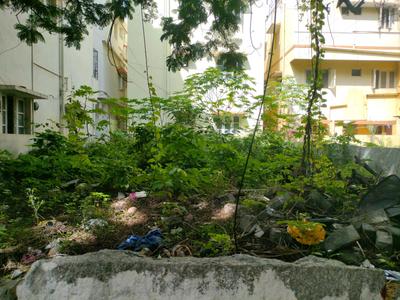 Brookfield Plot View 2