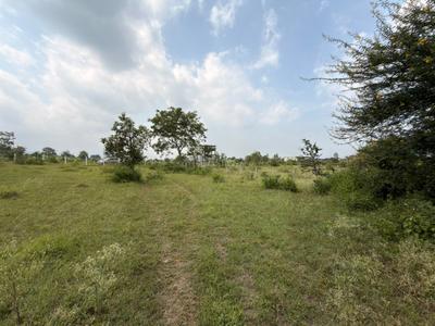 Image of 10760 Sq.ft Residential Plot / Land for sale in Sairung City, Nerhe, Pune for Rs. 19368000