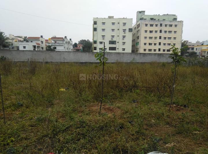 ROYAL RAJPUTANA C Main Image 1