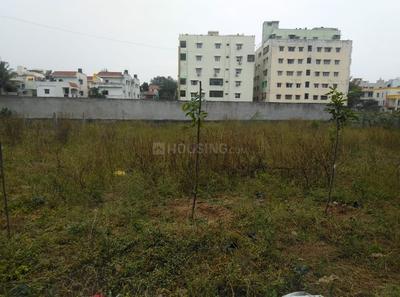 Residential Plot