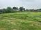 Bhadawar Main Image 1