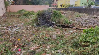 Ranipet Town Plot View 2