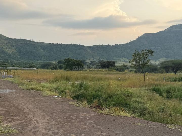 Grace Sunshine Farm Main Image 1