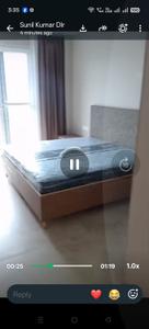 Hall Image of 3000 Sq.ft 4 BHK Independent House for rent in Sector 20 Noida for Rs. 56000