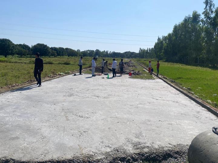 The Quiet Nest More Images 1