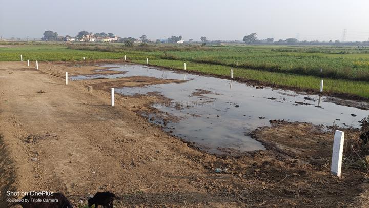 Beldari Chak Main Image 1