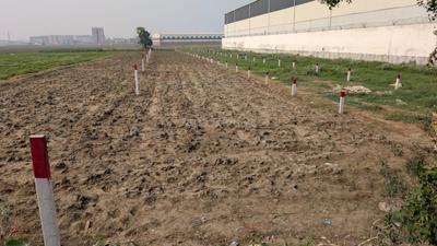 Image of 1200 Sq.ft Residential Plot / Land for sale in Hardas Bigha, Patna for Rs. 2016000