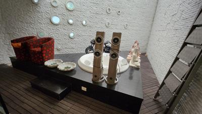 Image of 18000 Sq.ft 5 BHK Independent House for sale in Shree Balaji Heritage Villa, Adalaj, Gandhinagar for Rs. 300000000